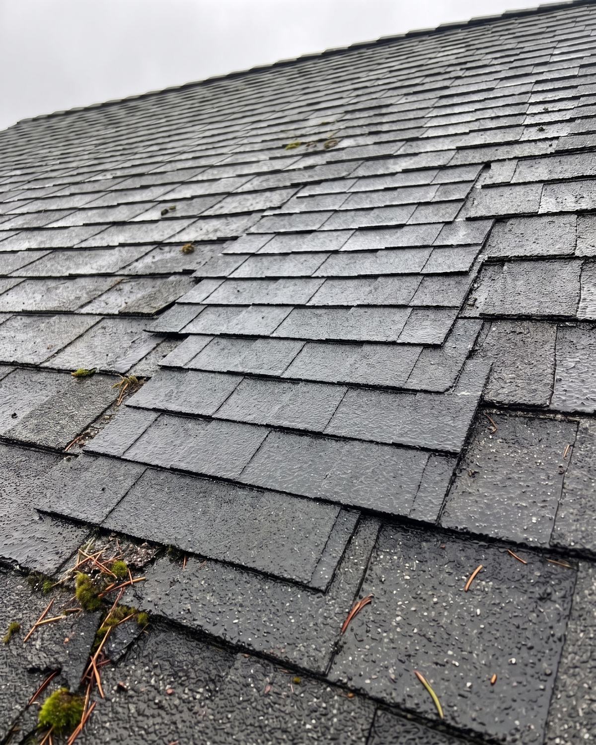 After: the same section reshingled — new dark shingles woven into the existing courses, sitting flat and sealed